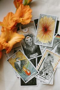 Several tarot cards and orange flowers
